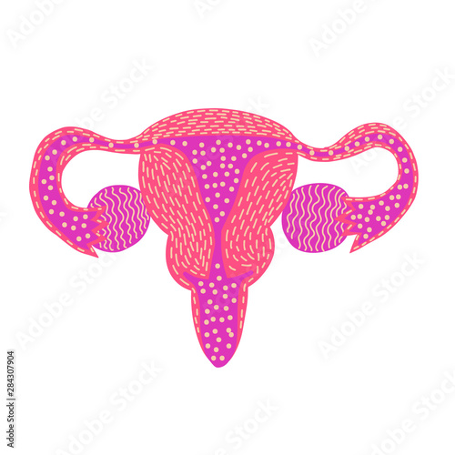 Pink uterus isolated on white background