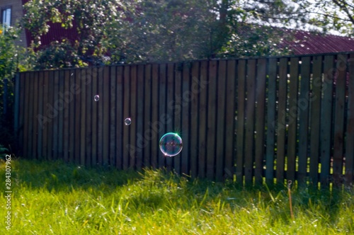 wooden fence and grass