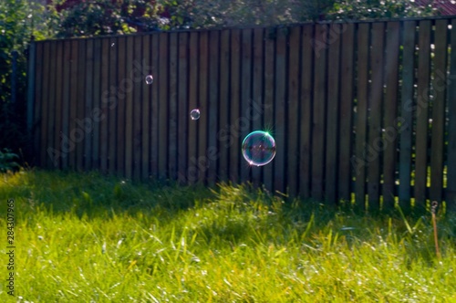 old wooden fence with green grass. Soap bubbles