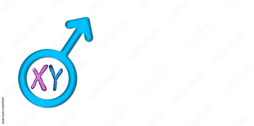 Blue male symbol graphics with X and Y chromosomes Blue male symbol graphics with X and Y chromosomes