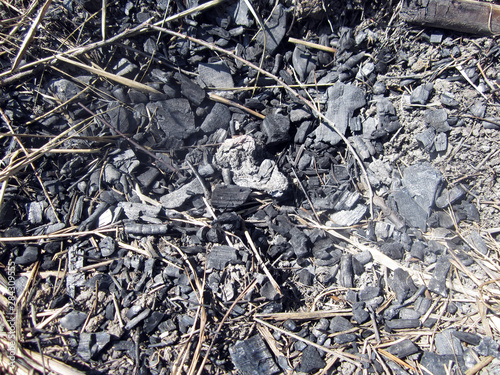 pile of firewood