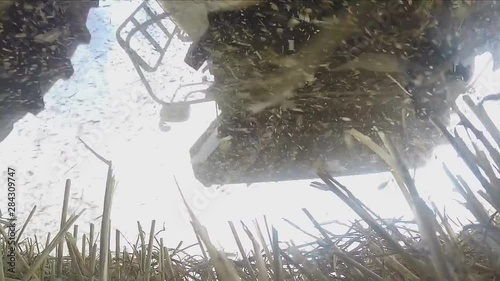 harvester rides in the wheat field (GoPro) photo