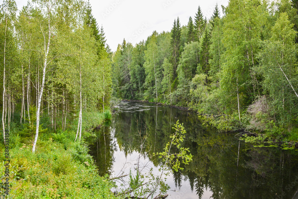 Undisturbed flow of the forest river Tohmayoki among green trees,Karelia,Russia Undisturbed flow of the forest river Tohmayoki among green trees,Karelia,Russia