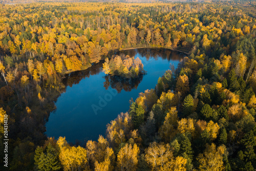 Aerial view of the blue crystal-clear lake and lonely island in the middle of it hidden and forgotten in the bright yellow autumn forest. Autumn landscape and background from a birds eye view