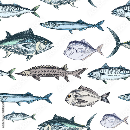 Vector illustration sketch - fish pattern