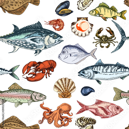 Vector illustration sketch - fish pattern