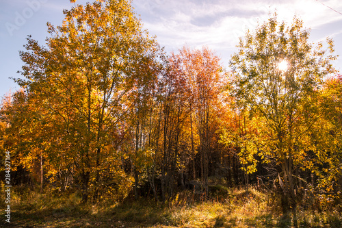 Autumn between villages  nature and water in Scandinavia © ismaelfoto
