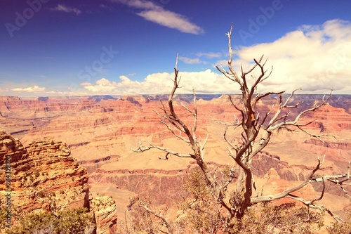 Grand Canyon. Filtered colors style.