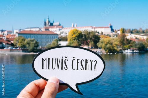 question do you speak Czech? in Czech
