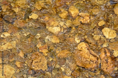 Background with flowing water (stream) and rocks.