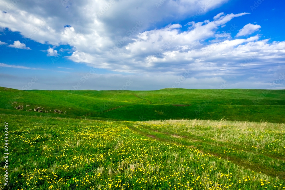 Beautiful summer landscape, yellow flower field and country road over hills