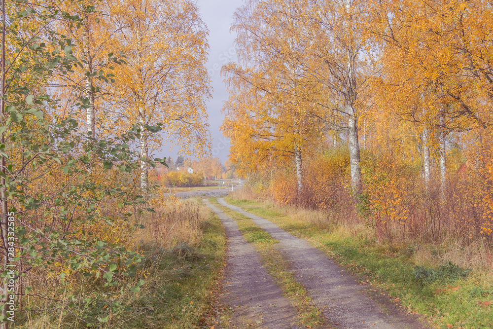 Autumn between villages  nature and water in Scandinavia