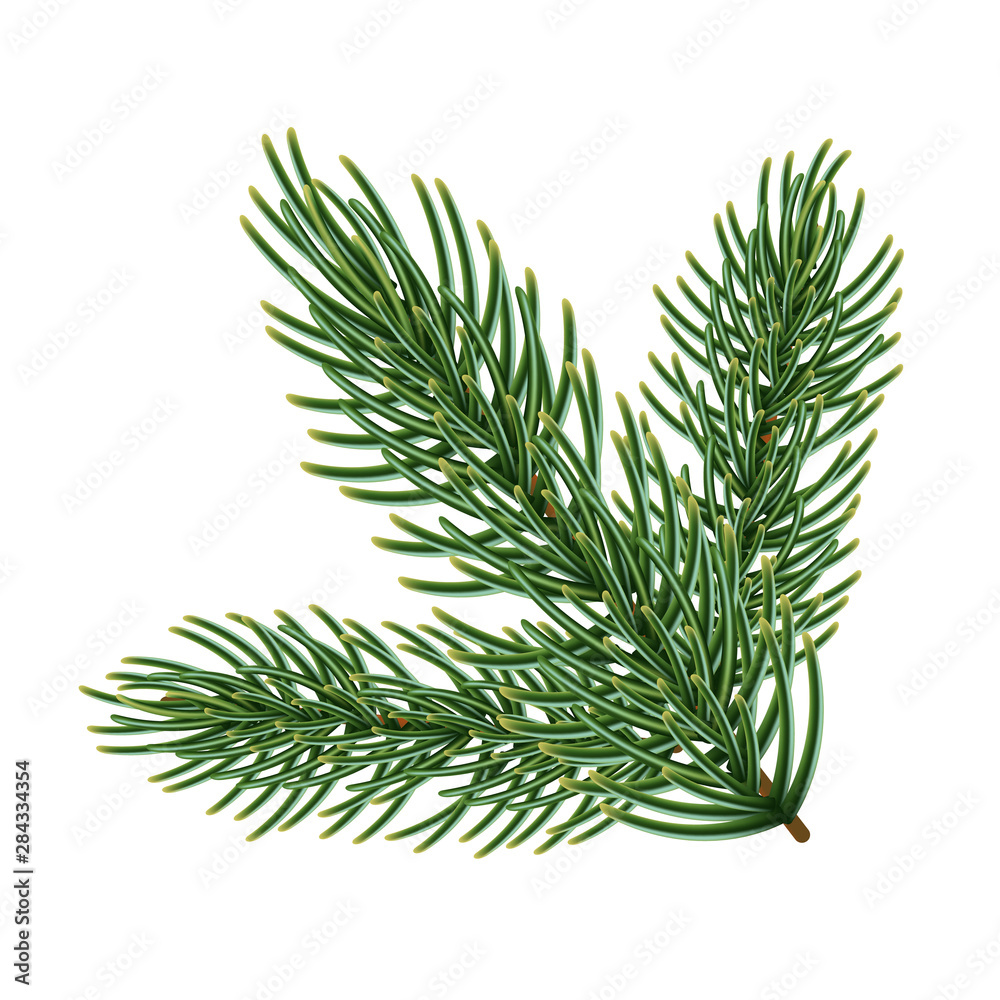 Green branch of a christmas tree, isolated on white background. Green branch of a christmas tree, isolated on white background.