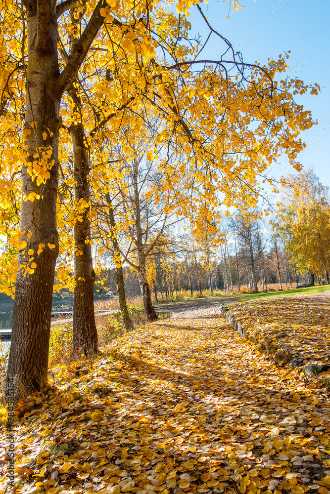 Autumn between villages, nature and water in Scandinavia Autumn between villages, nature and water in Scandinavia
