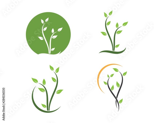 plant  icon logo vector illustration design