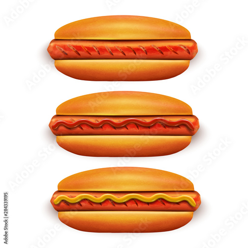 Hot Dog with Ketchup and Mustard in Realistic Style