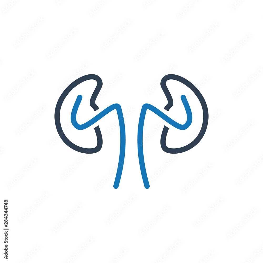 Kidneys icon