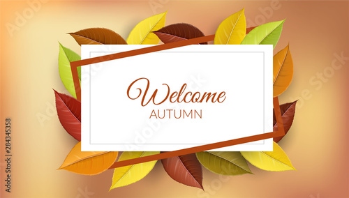Autumn frame with yellow, orange and red colorful leaves and border. Vector illustration for horziontal banner design for fall design, sale background or other autumn template frame photo