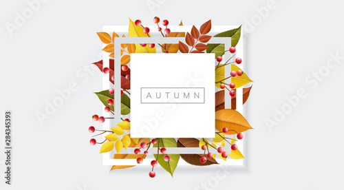 Minimal square autumn frame with colorful leaf and red berry branch. Vector illustration for autumn design template, fall background, with yellow, orange and red plants on white background