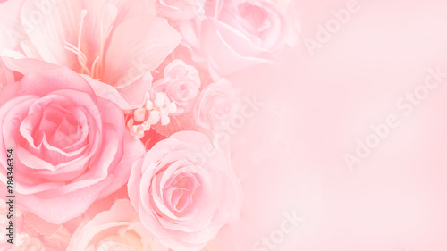 Fototapeta Kwiaty róży