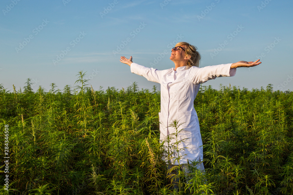 Scientist on marijuana field happy and satisfied with CBD hemp plants. Scientist on marijuana field happy and satisfied with CBD hemp plants.