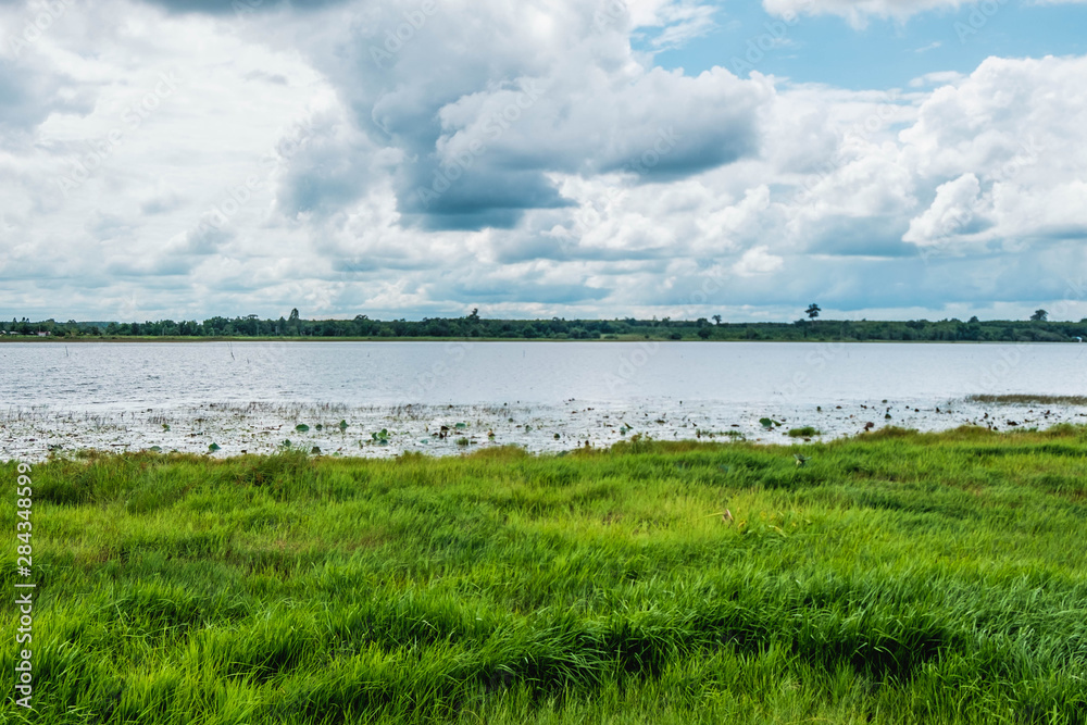 landscape with lake and blue sky,Bueng kong long,thailand landscape with lake and blue sky,Bueng kong long,thailand