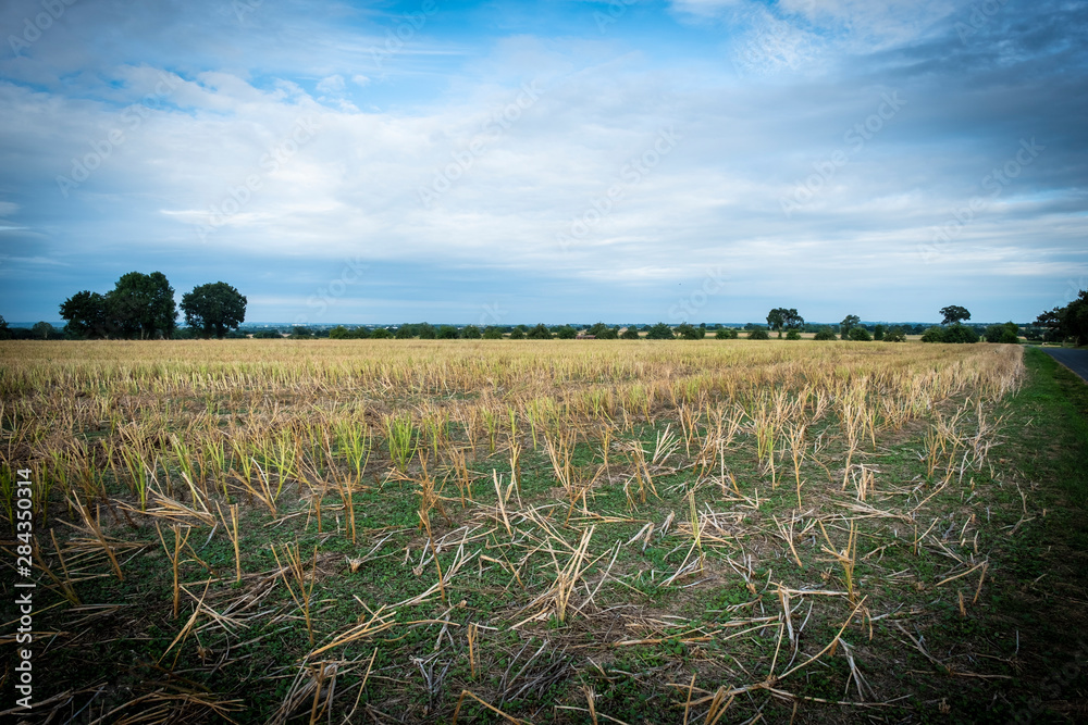 Obraz premium campagnia francese