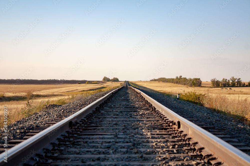 Fototapeta premium railway tracks go into the horizon