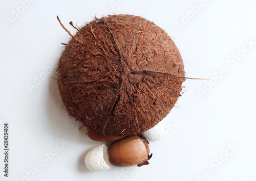 Coconut shell, nuts and silk cocoon with white background