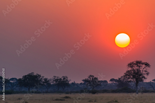 Botswana. Chobe National Park. Savuti. Sunset over the savanna.