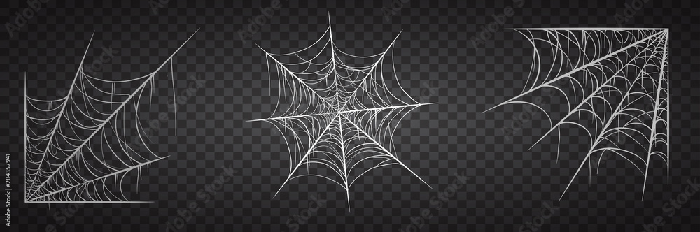 Obraz Zestaw pajęczyna, na białym na czarnym przezroczystym tle. Pajęczyna na halloween, upiorny, przerażający, horrorowy wystrój z pająkami.