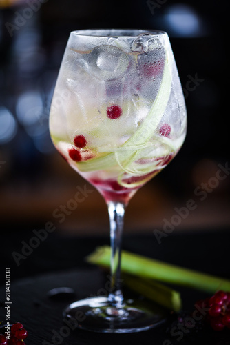 tonic gin cocktail with fresh rhubarb & red berries