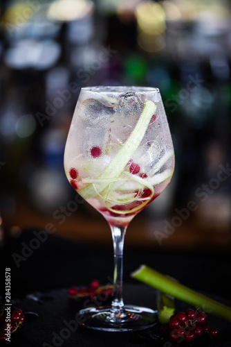 tonic gin cocktail with fresh rhubarb & red berries