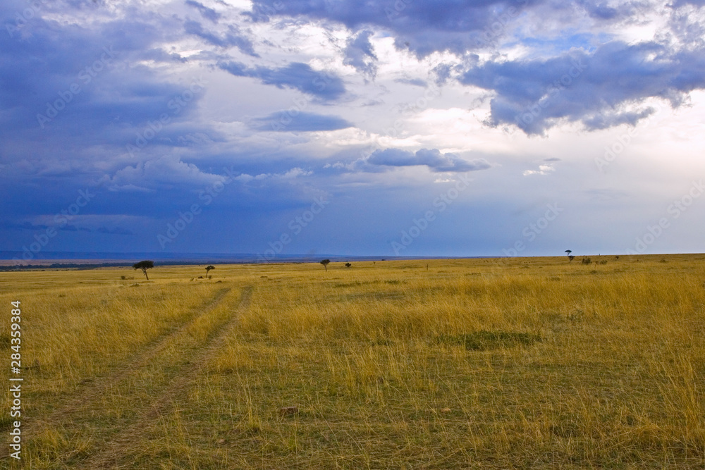 A scenic view of the Mara in the Maasai Mara Kenya. 