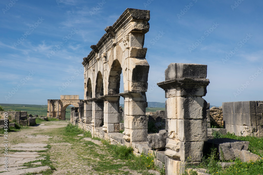Morocco, Volubilis. Archeological site of ancient Roman ruins.