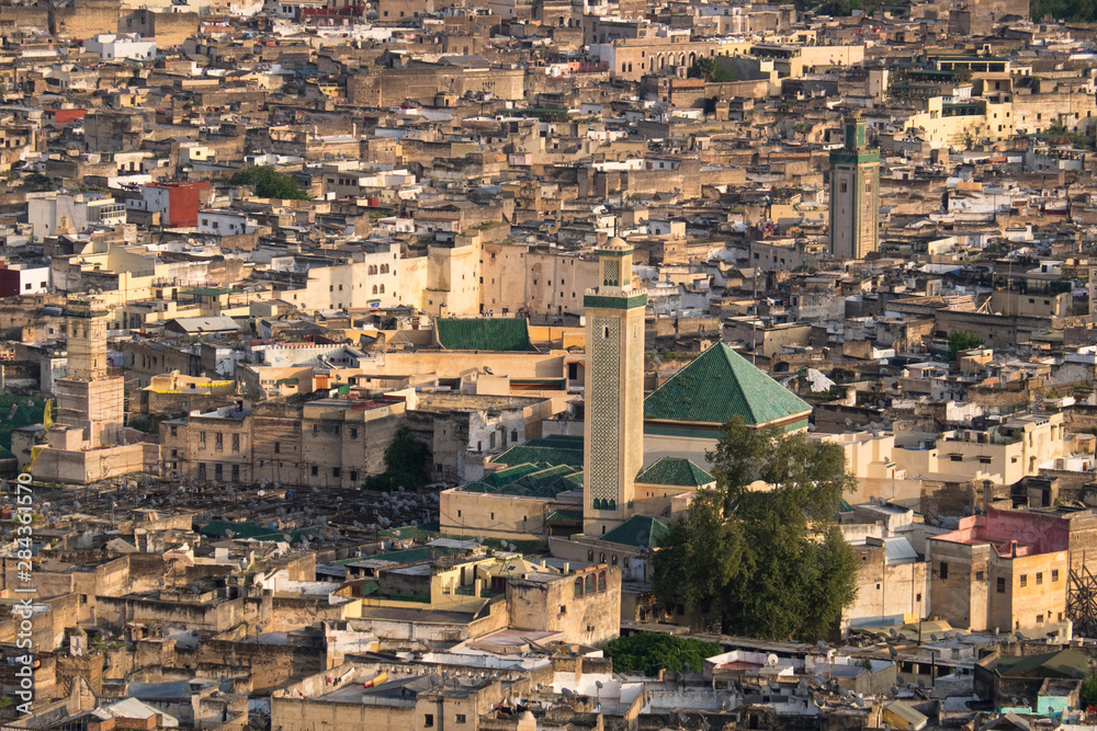 Morocco, Fes. Detail of the city from above at the Tombs du Merenides.