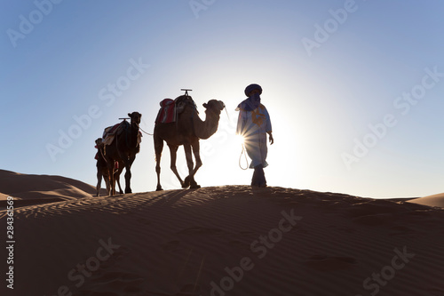 Tuareg man with camel train  Erg Chebbi  Sahara Desert  Morocco