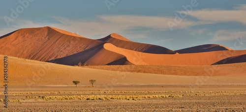 Fototapeta Naklejka Na Ścianę i Meble -  Morning light on the sand dunes of Sossusvlei, Namibia