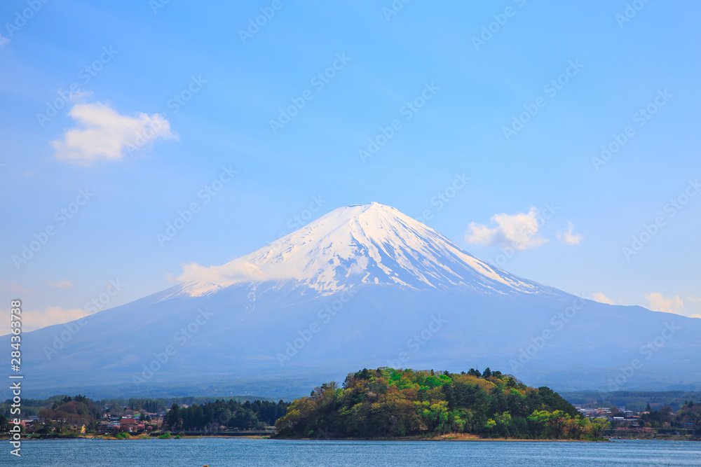 Mt diamond fuji with snow and flower garden along the lake walkway at Kawaguchiko lake in japan, Mt Fuji is one of famous place in Japan. 