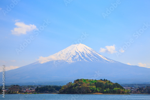 Mt diamond fuji with snow and flower garden along the lake walkway at Kawaguchiko lake in japan  Mt Fuji is one of famous place in Japan. 