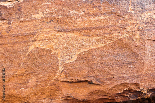 Petroglyphs or rock engravings, Twyfelfontein, UNESCO World Heritage site, Damaraland, Kunene Region, Namibia.