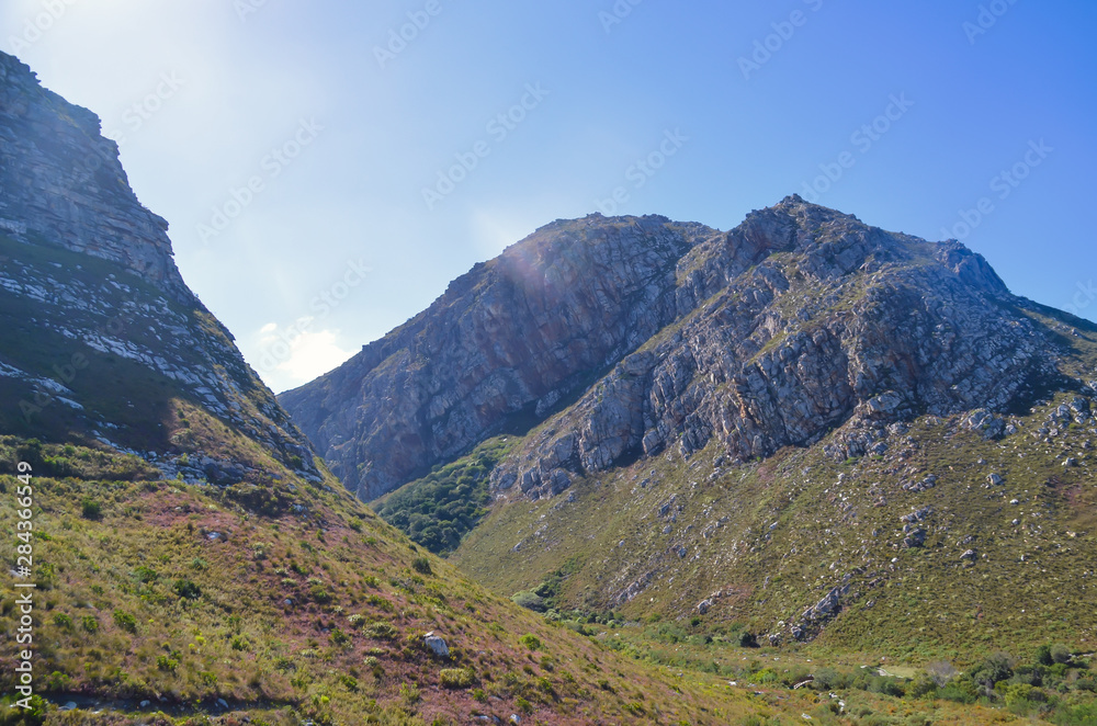 Fototapeta premium Berge in einem botanischen Garten entlang der Garden Route in Südafrika 