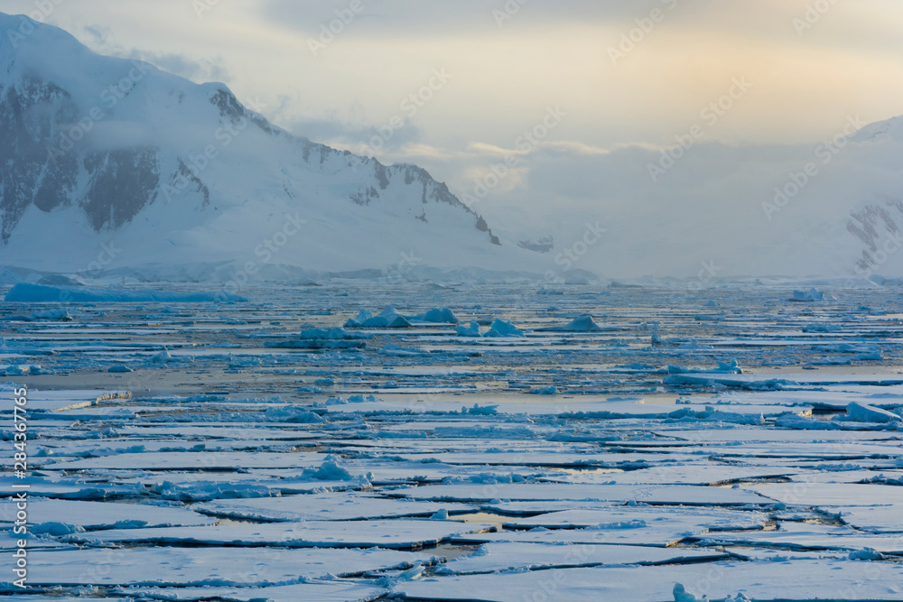 Antarctica, near Adelaide Island. The Gullet. Ice floes and brash ice.