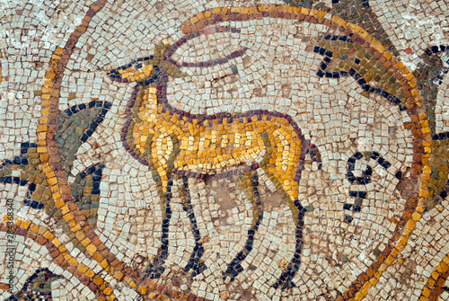 Deer mosaic, New House Of Hunt, Bulla Regia Archaeological Site, Tunisia, North Africa photo