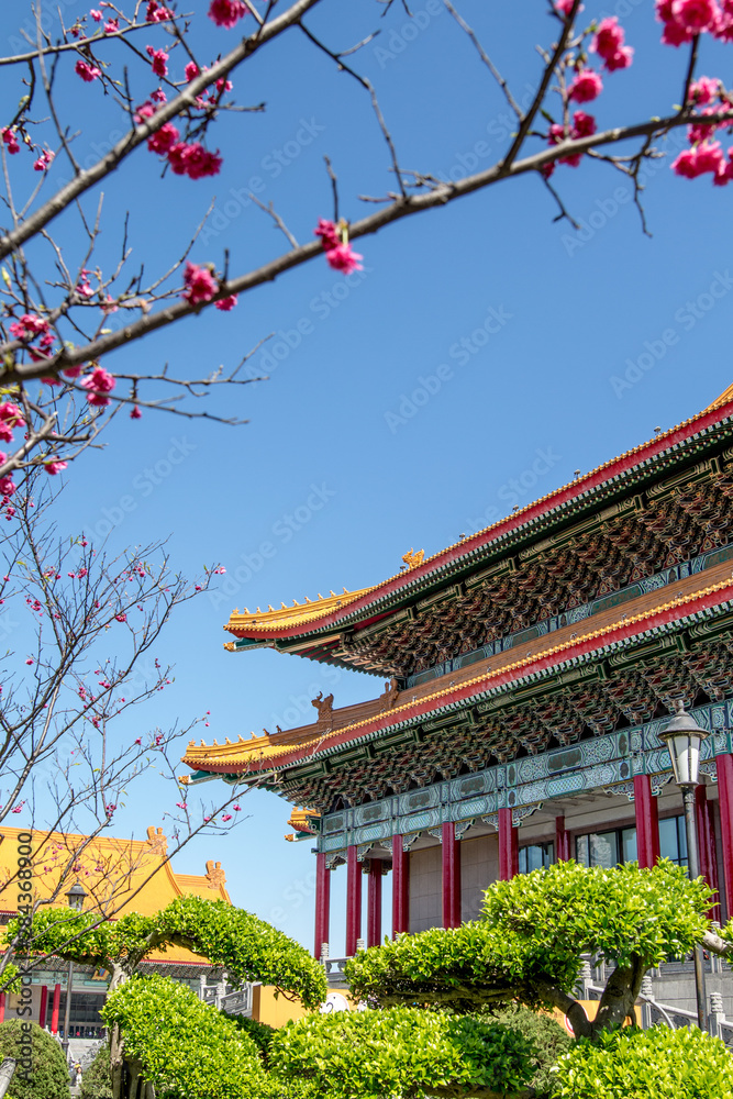  National Theater and National Opera House with Cherry Blossom, Taipei, Taiwan