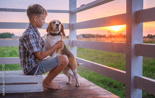 cute boy and dog Beagle sitting hugging on the veranda of the house on a summer evening against the sunset