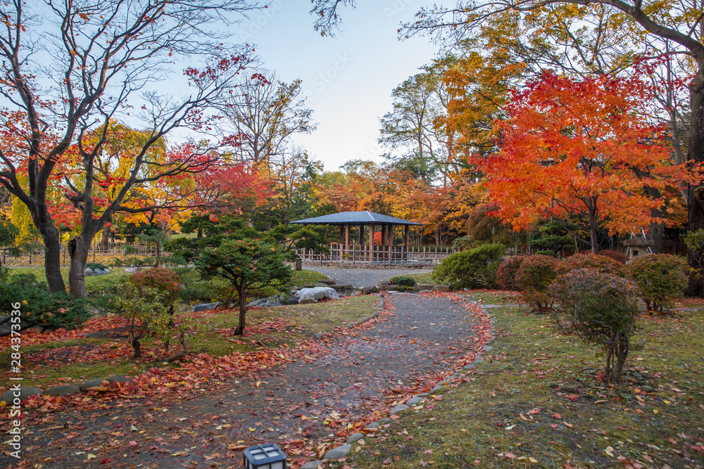 Beautiful landscape in sapporo city, Autumn landscape at Nakajima Park, Sapporo City, Hokkaido, Japan.