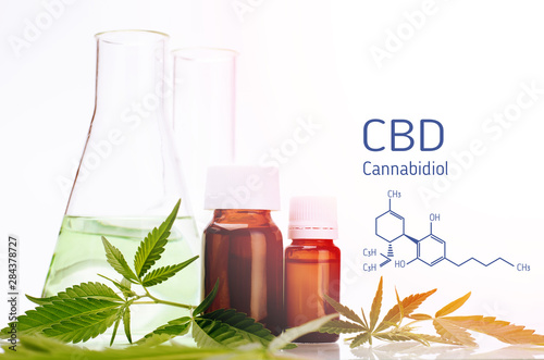 Medical, chemical theme background with cannabis leaves, oil bottle and laboratory glass flasks behind on a white.