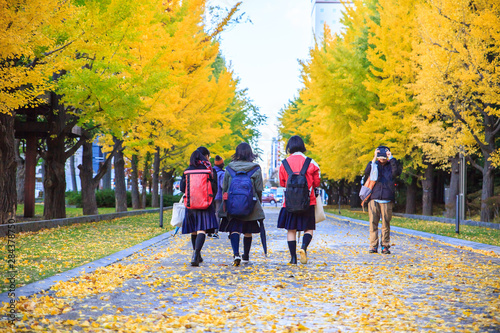 Sapporo City, Hokkaido, Japan - Oct. 29, 2018 : Autumn landscape at Nakajima Park, Sapporo City, Hokkaido, Japan. Three girls walking on the street. Back to school concepts.