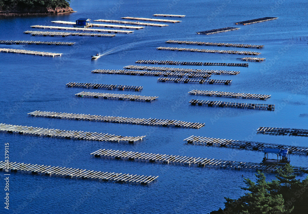A small boat patrols the oyster beds at Kashikojima, Ise-Shima NP, Honshu, Japan.
